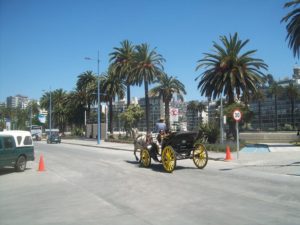 Valparaiso Private Tours, Private tour in Valparaiso